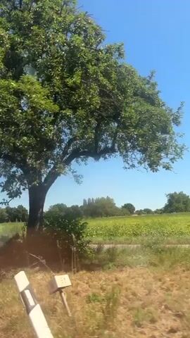 The video shows a view from inside a vehicle traveling along a road. The scenery consists of green fields and trees under a bright blue sky. There are also some distant buildings visible. Several traffic signs, including a speed limit sign indicating 50, are seen along the side of the road. The lighting suggests it is daytime, likely sunny.
