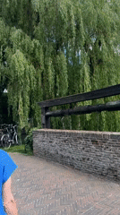 Community celebration observed in historic Dutch town Elburg