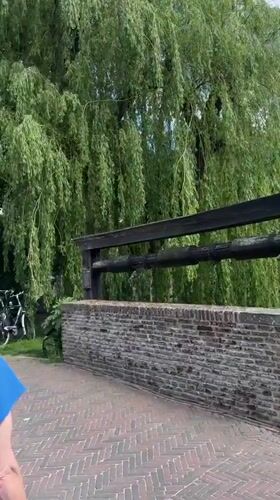 Community celebration observed in historic Dutch town Elburg
