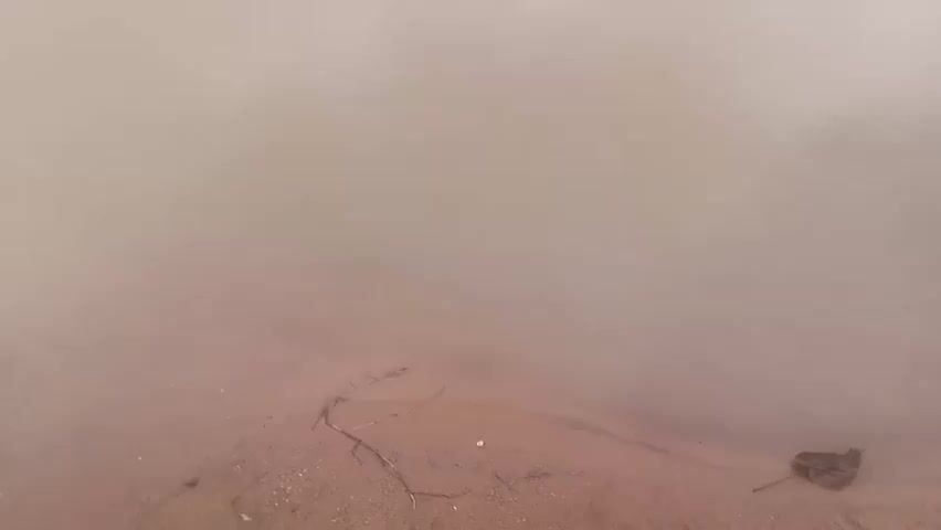 A video shows a shallow body of murky brown water meeting a sandy bank. A few small twigs and debris are scattered on the sandy shore, with one piece of dark, flat debris resting at the water's edge. The water's surface is rippled, suggesting a gentle current or breeze. The lighting is soft and diffused, creating a muted, earthy color palette. No people or animals are visible.