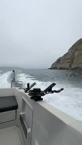 The video shows a view from the back of a moving white boat on a cloudy day. The camera is positioned on the stern of the boat, looking out toward the water and a rocky cliff. The water is dark, with white foamy waves created by the boat’s movement. Fishing equipment is mounted on the boat, including what appears to be rod holders and a winch. The cliff is tall and rugged, with some sparse vegetation on top. The sky is overcast, creating a muted, gray light over the scene.