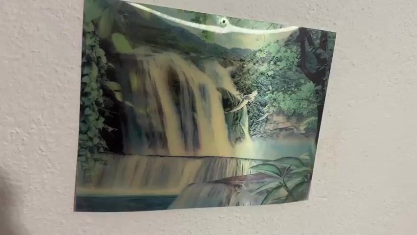 The video shows a close-up shot of a picture hanging on a textured white wall. The picture depicts a lush jungle scene with a cascading waterfall and vibrant green foliage. Two small, bird-like figures with outstretched wings are visible flying near the waterfall. The image appears to be slightly reflective, suggesting it might be laminated or encased in plastic. The lighting in the scene creates a subtle shadow on the wall to the right of the picture. The camera remains stationary throughout the short clip.