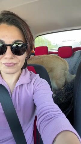 A woman is in the driver's seat of a car. She is wearing sunglasses and a purple jacket. Her hair is short and dark. A dog, mostly obscured by the seat, is in the back seat. The car is moving along a road with trees on the side. The sun is shining.
