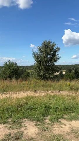 This is a vertical video of a nature scene. The sky is blue with white clouds. There are rolling hills covered in green grass and trees. A dirt path winds through the landscape. A lone tree stands in the middle of the frame, surrounded by tall grass and smaller bushes. The overall impression is one of a peaceful, sunny day in the countryside.