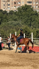 Riders and horses in a Baku equestrian arena