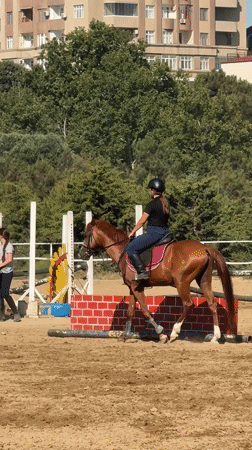 Riders and horses in a Baku equestrian arena