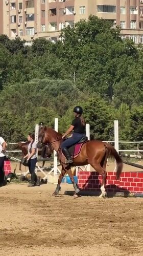 Riders and horses in a Baku equestrian arena