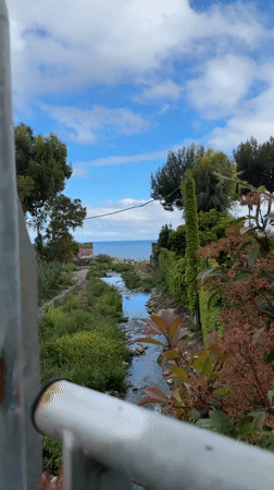 Stream flows to sea through Sanremo vegetation