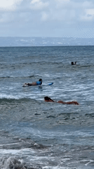 Early morning surf session draws crowds to North Kuta beach