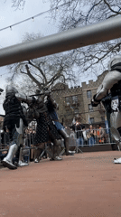 Crowd gathers behind barriers at NYC outdoor fair