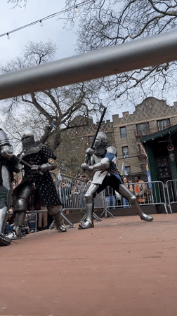 Crowd gathers behind barriers at NYC outdoor fair