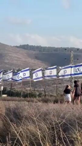 The video shows a field with a row of Israeli flags flapping in the wind. Behind the flags is a rolling, tree-covered hillside. In the field, two people walk near the flags. One person is taller than the other, and both wear dark-colored clothing. The foreground is filled with dry, tall grass. The sky is blue with a few wispy clouds.