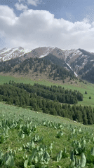 Hiker documents scenic mountain trek near Almaty waterfalls