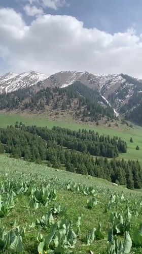 Hiker documents scenic mountain trek near Almaty waterfalls