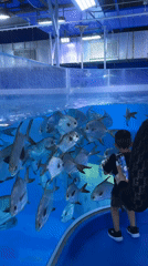 Visitors observe marine exhibits at Dubai aquarium facility