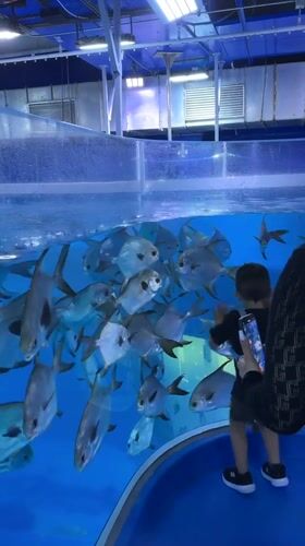 Visitors observe marine exhibits at Dubai aquarium facility
