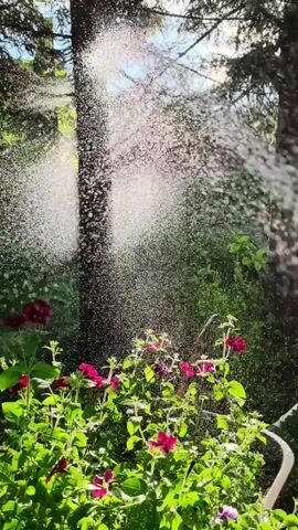 A vertical video shows water being sprayed from the right side of the frame, creating a misty curtain. In the foreground, lush green foliage and several red flowers are visible. A tree trunk stands in the center of the background, with more trees and a bright sky behind it. The lighting suggests it is daytime.