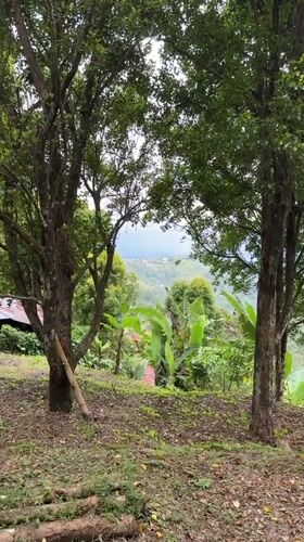 Tourist documents traditional village life in rural Banjar, Indonesia