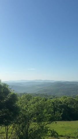 The video shows a static, wide shot of a green, forested mountain range under a clear blue sky. The foreground is dominated by lush green trees and a grassy field. In the distance, layers of hazy, blue-tinged mountains stretch across the horizon. The scene is bathed in natural daylight.