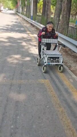 An elderly Asian woman with gray hair pushes a white four-wheeled walker down a road next to a low metal barrier. The walker has a plaid seat and storage area. The road is asphalt with yellow lane markings. Trees are visible along the side of the road, some with white paint on their trunks. The lighting is bright, suggesting daytime.