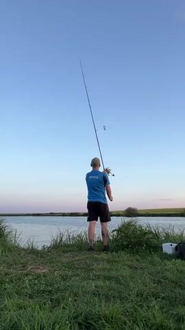 A man in a blue t-shirt and black shorts is fishing by a lake. He is casting his fishing rod, which bends significantly as he swings it. The sky is clear and blue, with the sun low on the horizon. The man is standing on a grassy bank, with reeds and other vegetation growing around him. A white bucket and a dark bag are visible near him.