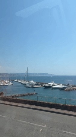 Calm day at Cannes harbor, yachts docked under clear skies.
