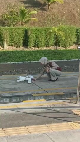 A woman wearing a hijab and a brown and white uniform is crouching on the ground and feeding a group of white pigeons. She is extending her right hand towards the birds, and they are gathered around her. The scene appears to be outdoors, with a grassy area and some trees in the background. There are yellow and gray lines on the ground near the woman and the pigeons.