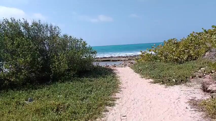 A handheld camera films a sandy path leading towards a beach. Green vegetation flanks both sides of the path. The sea is visible in the background with a clear sky. Several people can be seen at the end of the path near the beach, engaging in some activity. There are blue objects hanging from a tree branch. The camera slightly tilts and shakes during filming.