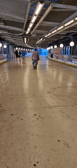Inside a worn Stockholm roller rink, early morning stillness