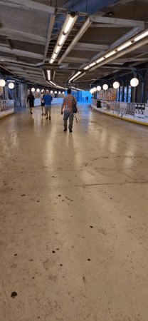 Inside a worn Stockholm roller rink, early morning stillness