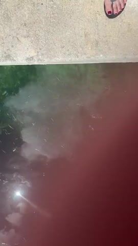 A shaky, top-down view shows a turquoise body of water teeming with small fish. The water reflects the sky, with clouds and a bright sun visible. The edge of a concrete surface is at the top of the frame, and a person's feet with red nail polish are visible at the very top. Part of a hand, out of focus and colored pink, is in the lower right corner of the frame. There appears to be some debris floating on the surface of the water, and what looks like a wire or rope extending from the bottom left into the water. The camera pans slightly as if being held by someone.