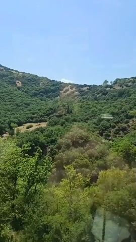 The video shows a view from a moving vehicle, likely a car or bus, looking out at a lush, green landscape. The camera pans across rolling hills covered in dense vegetation, primarily trees and shrubs. The sky is clear and blue with a few faint white clouds. In the foreground, there are closer trees and foliage, some of which are slightly blurred due to the motion of the vehicle. The scene appears to be a natural, possibly mountainous or hilly, environment during the daytime. There are no people visible in the video. The audio in the video consists of spoken words in an unknown language, likely a narration or conversation, and some faint ambient sounds, possibly related to the vehicle's movement. The spoken words refer to people enduring or not enduring something for centuries and then starting to move away from people.