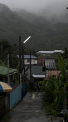 Village resident documents small crabs during rainy morning