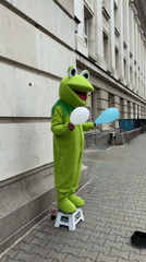 Kermit costume performer spotted with balloons in central Sofia