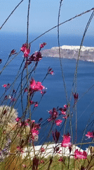 Turquoise dress photo shoot on Santorini's caldera stairs
