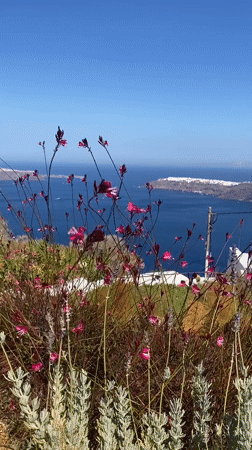 Turquoise dress photo shoot on Santorini's caldera stairs