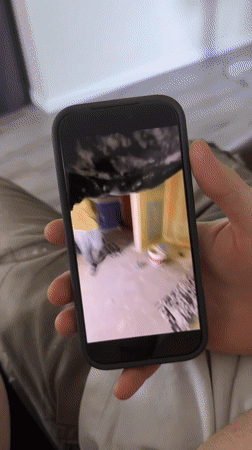 Renovation work and cats at home in Fife