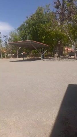 The video shows an empty paved area, possibly a parking lot, on a sunny day. In the background there is a metal shade structure with a red roof, several trees with green leaves, and a building with a red roof. A bench is visible near one of the trees. There does not appear to be anyone in the frame.