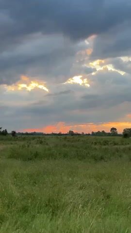 The short video captures a serene rural landscape at sunset in Doganovo, Bulgaria. The foreground is dominated by a vast, vibrant green field of tall grass, gently swaying in an unseen breeze. In the distance, a line of trees marks the horizon. The sky above is dramatically lit, with dark grey clouds partially obscuring the sun. Breaks in the clouds allow brilliant golden and orange light to stream through, creating a striking contrast and illuminating portions of the sky. The horizon itself glows with a warm, fiery orange, indicating the sun is setting. The camera slowly pans to the right, revealing more of the expansive field and the distant trees, while maintaining a clear view of the colorful sky. No people or specific objects are visible, and there is no discernible text. The overall atmosphere is one of calm and natural beauty.