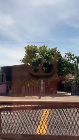 The video captures a view from a vehicle, looking outwards at a street scene. In the foreground, a metal gate or fence with diamond-shaped openings and yellow markings is visible. Beyond the gate, a paved road runs horizontally. To the left of the road, a small pink fence borders a property with lush green trees and tropical plants, including palm trees. A red-tiled roof of a house is partially visible above the trees. Further down the street, a person is riding a motorcycle, carrying a green bag on the back. On the right side of the street, another house with a tiled roof and a white fence is seen, surrounded by more vegetation. A sign reading "PHOTOCOPY" is affixed to a building. A large white dump truck with orange accents and markings "79C 07090" drives past. Further down the street, another building with a wooden gate and a sign that appears to read "HAUX" is visible, with trees in front of it. The sky is blue with scattered clouds.