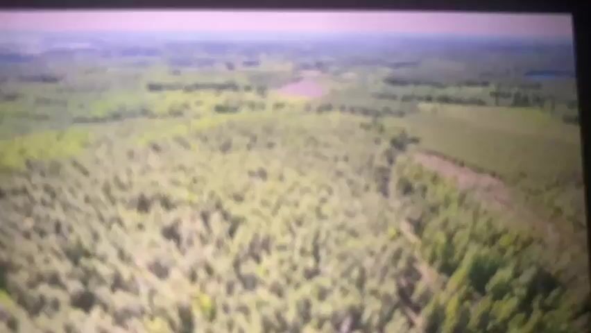 This is a blurry aerial video of a rural landscape. The dominant feature is a vast expanse of green forest, punctuated by patches of lighter green and brown fields. A dark gray road runs diagonally across the right side of the frame, bordered by trees. In the distance, there are bodies of water, appearing as small blue shapes. The sky is a pale, hazy color, suggesting an overcast or hazy day. The overall impression is one of natural scenery with some human infrastructure, specifically a road. The low resolution and blurriness obscure any finer details, such as specific types of trees, the condition of the road, or any signs of activity.