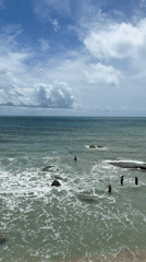 Beachgoers swim at Baan Chaweng Noi during early morning hours