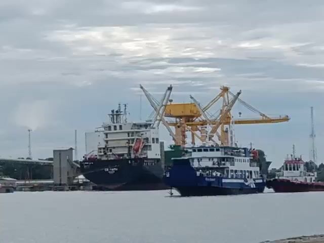 The video shows a waterfront industrial area under a cloudy sky.  

Multiple large industrial buildings and structures are visible along the water's edge, including what appears to be a factory or processing plant. There are conveyor belts, silos, and other industrial equipment.

Two ships are docked near the industrial facilities.  One appears to be a cargo ship, and the other is a smaller blue and white passenger vessel. A tall crane is positioned near the ships.  The water in the foreground is calm and gray.