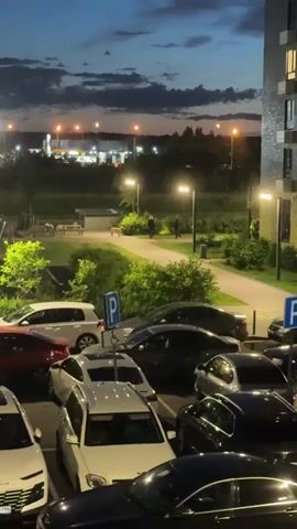 This video shows a street scene at dusk in Drozhzhino, Russia. The foreground is dominated by parked cars, suggesting an urban or suburban environment. A large, light-colored dog stands on a paved pathway, facing away from the camera. Two people are visible on the pathway, further along from the dog, appearing to interact with it. One person, likely a woman, is wearing a dark coat and pink shoes. The other person is a man in a dark jacket. The pathway is bordered by green bushes and grass. In the background, streetlights illuminate the scene, and a building with illuminated windows is visible on the right. Further in the distance, lights from what appear to be street lamps and a gas station can be seen, indicating the presence of a road or commercial area. The sky is twilight blue with scattered clouds, suggesting the transition from day to night. A blue parking sign with a white "P" is visible in the lower left corner of the frame. The overall impression is a quiet, residential or semi-residential area at the end of the day.