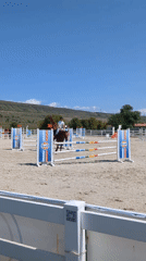 Show jumping action in a Tbilisi outdoor arena