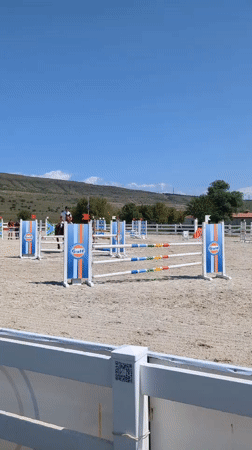 Show jumping action in a Tbilisi outdoor arena