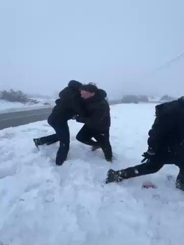 A snowy day scene shows two people in dark jackets embracing and stumbling on snow, with another person in a dark jacket and green hood nearby. A road is visible in the background, with two cars passing. The environment is foggy and snow-covered with sparse vegetation. A utility pole stands at the roadside.