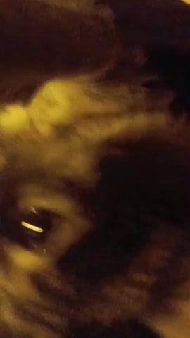 The video shows a close-up, blurry view of a cat's face. The cat's eyes are visible, with one eye reflecting light. The fur appears to be brown and tan. The lighting is dim and yellowish. The camera is moving, causing the image to be shaky and out of focus.