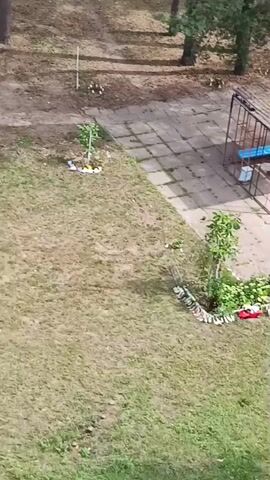 A drone footage shows an outdoor area with a playground structure, a garden, and paved surfaces. The playground has a metal frame with a roof and blue slides, with some toys on it. The garden is bordered by stones and contains various plants, including flowers and small trees. A lamppost stands near the playground. In the background, there is a brick building with garage doors. Several cars are parked in the area. The ground is covered with grass and dirt, and trees are visible in the distance.