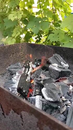Backyard BBQ and garden life on a summer day in Sorochinsk